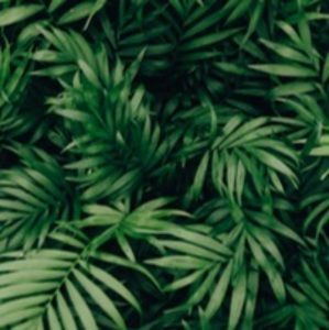 Meet your Posher, Autumn